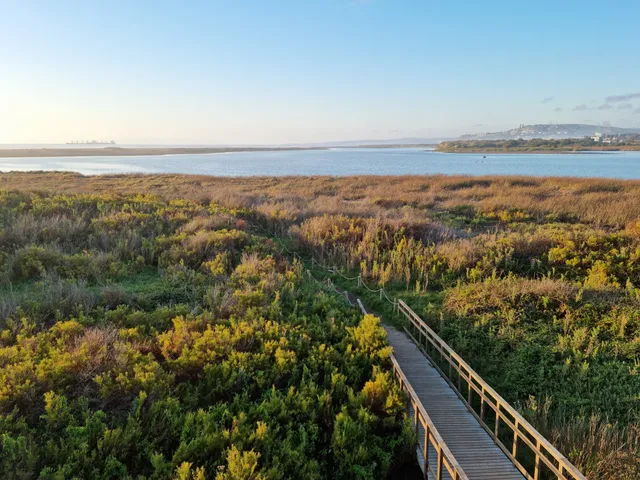 Humedal Río Maípo Park