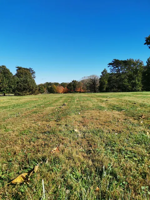 National Grove of State Trees