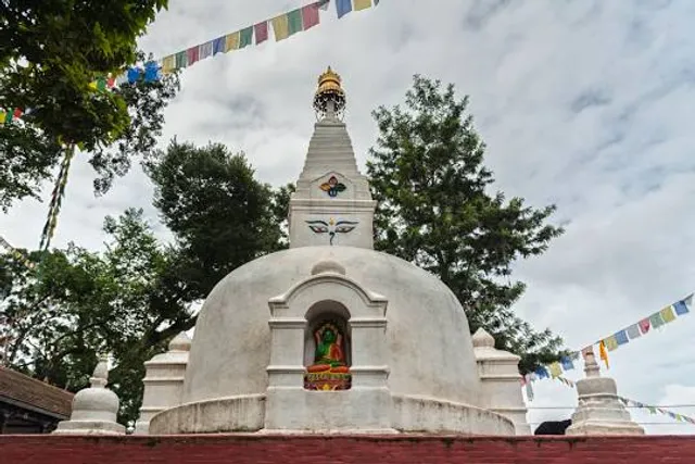 photo-2