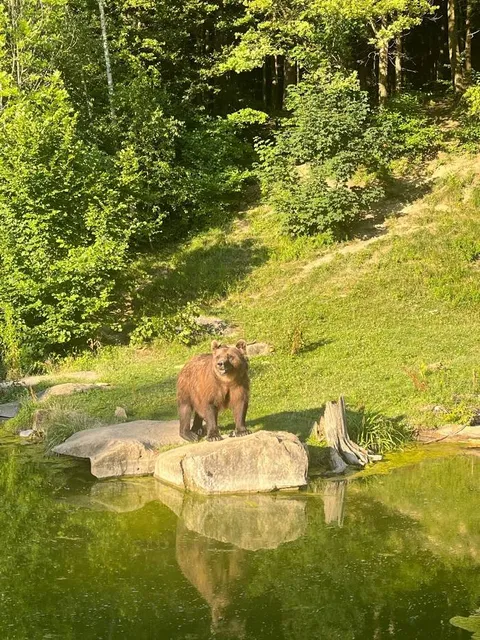 Wildnispark Zürich Langenberg