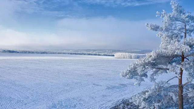 Rzhyschiv Urban Hromada