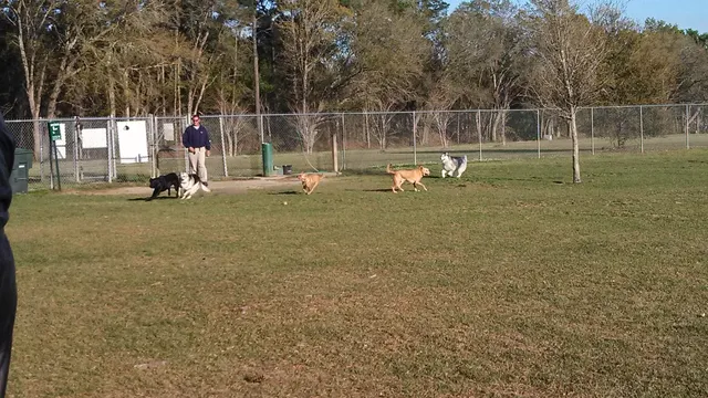 Daphne Dog Park
