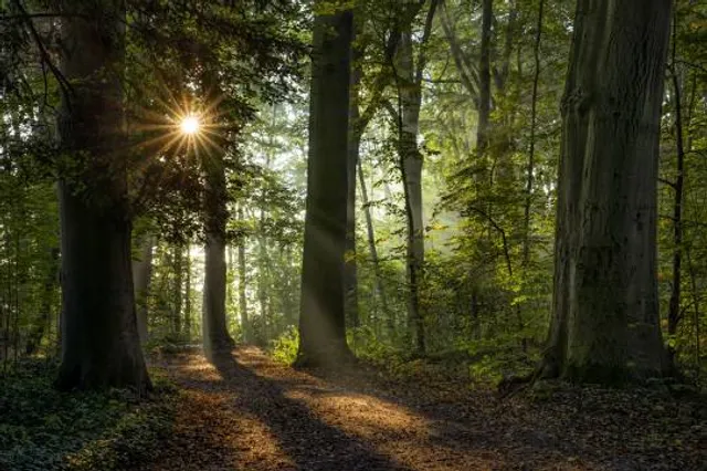 St. Willibrord's Abbey