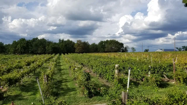 Holy-Field Vineyard & Winery