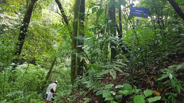 Parque Nacional Montaña de Comayagua