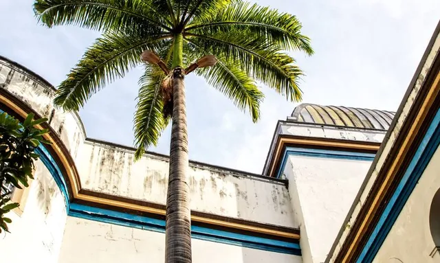 Ilha de Antônio Vaz