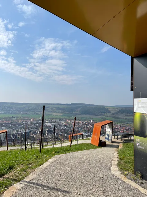 terroir f Hammelburg - Weinbau in Franken