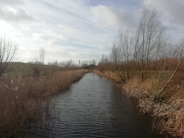 De Boseilanden (Spaarnwoude Park)