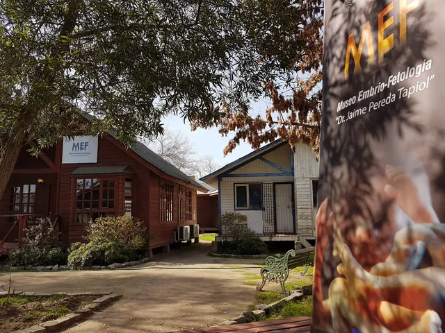 Museo de Embriofetología