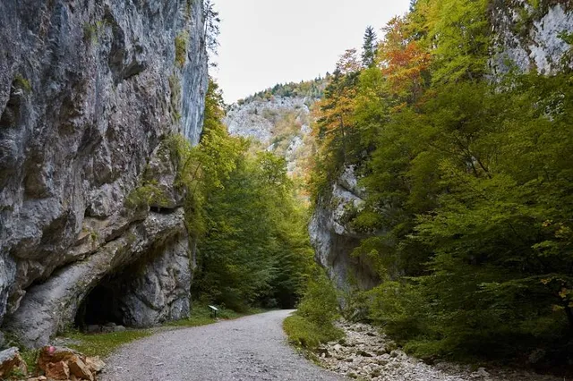 Prăpăstiile Zărneștiului