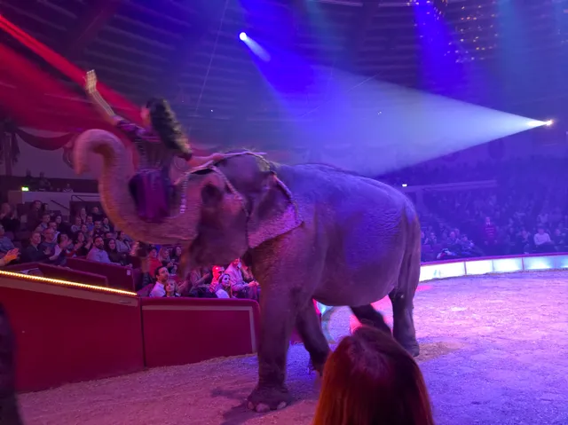 Circus Krone Zoo