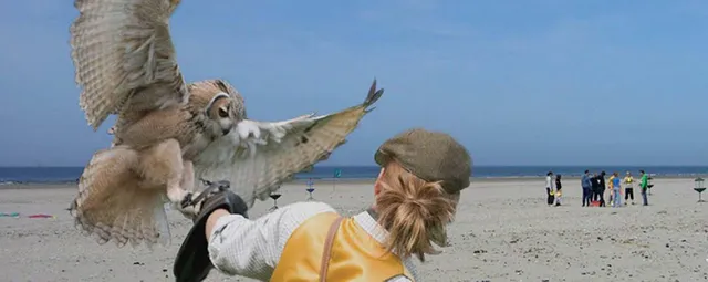 Hot Zone Beach and Events