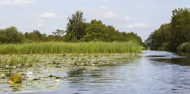 photo-1