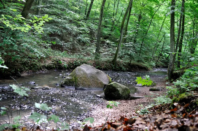 Elbląg Upland Landscape Park