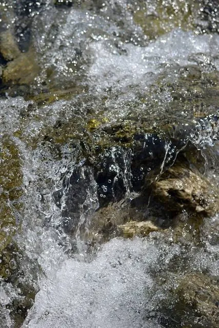 Wild Waters - Water & Amusement Theme Park - Hyderabad