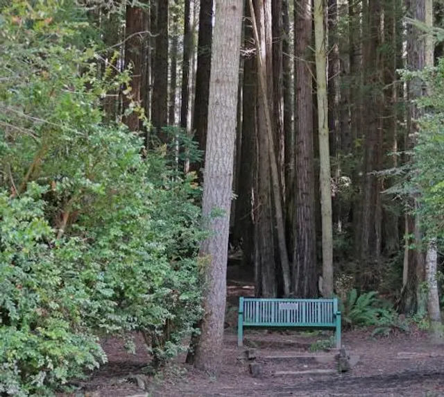 Redwood Park