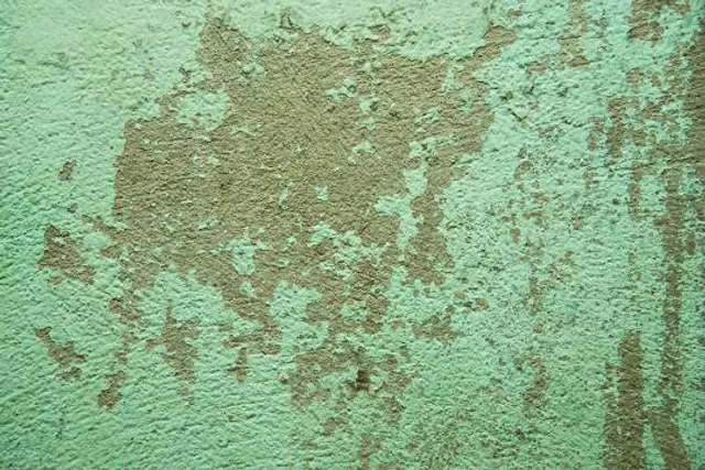 Kyūsendō Cave (Kuma Forestry Association)