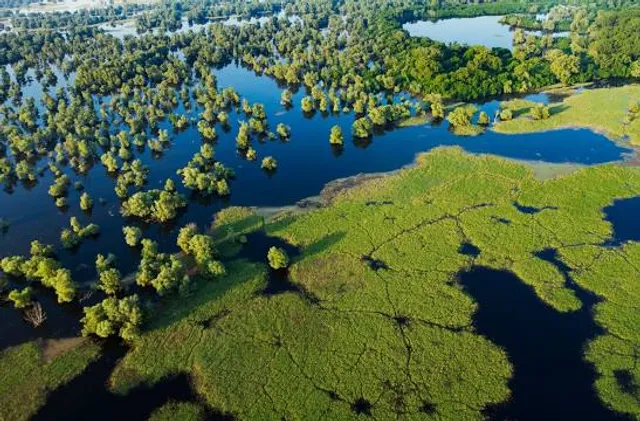 Kopački Rit Nature Park