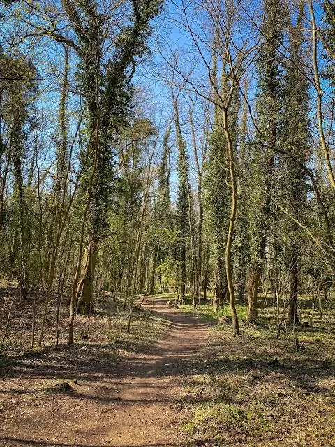 photo-2