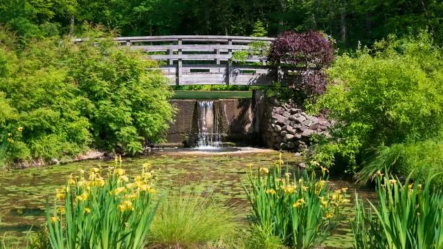 Leonard J Buck Garden