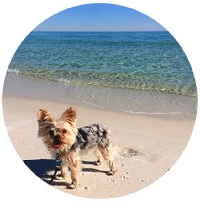 Pensacola Dog Beach West