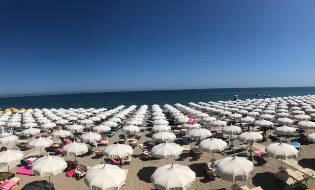 Holiday Village .306