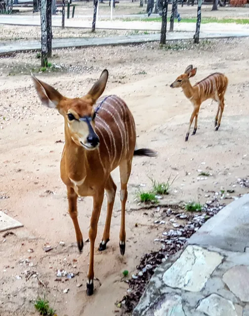 Hans Merensky Nature Reserve