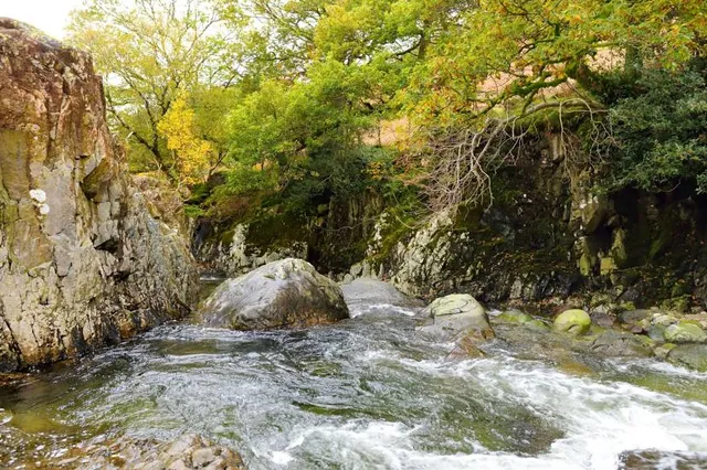 Wild Water Adventure Park