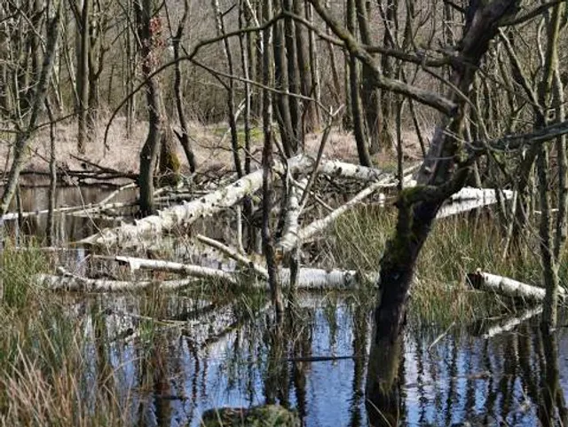 Raakmoor Nature Reserve