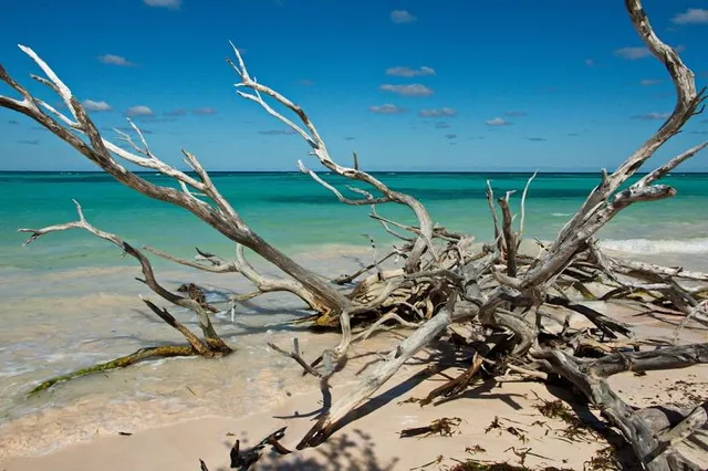 Cayo Jutía beach