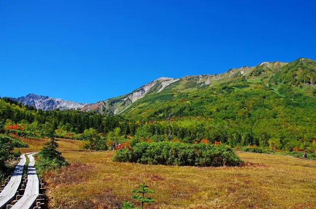 Tsugaike Kogen Ski Resort