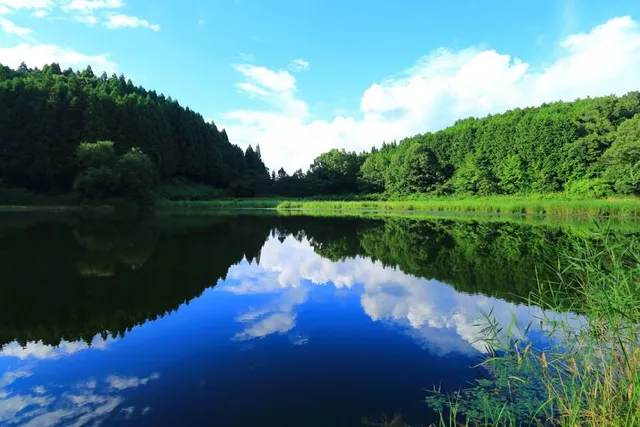 リュウオウガフチ