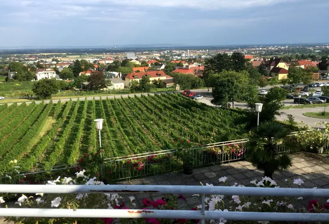 Vineyard Red Mäuerl