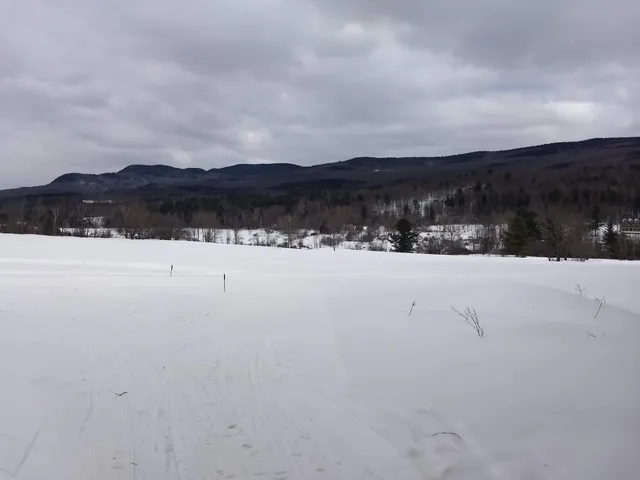 Ole's Cross Country Center