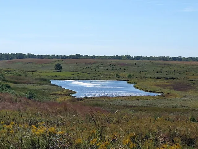 Lake in the Hills Fen Conservation Area