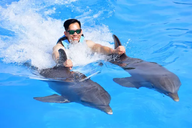 Dolphin Discovery Playa del Carmen