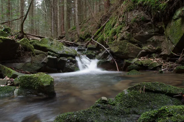 “Las Gościba” Nature Reserve