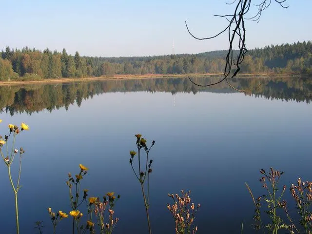Großer Schwarzer Teich