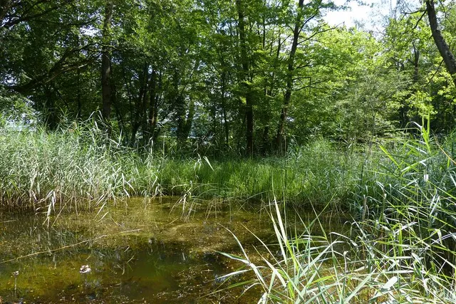 Thurauen Naturschutzgebiet
