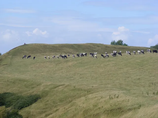 Maes Knoll Tump (Iron Age Hill Fort)
