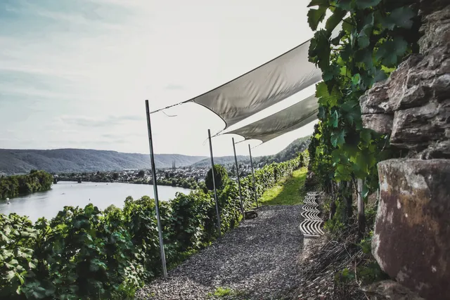 Weingut Schwaab - Koblenz Weinerlebnis