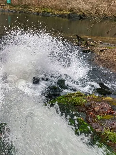 Greers Ferry National Fish Hatchery - Hatchery Building