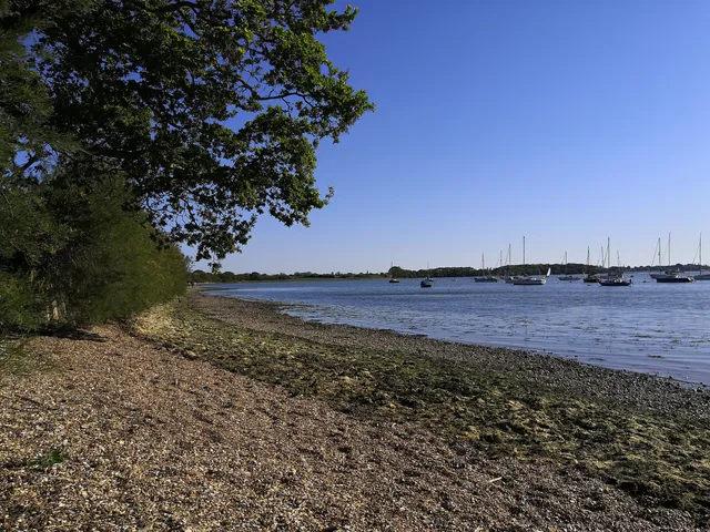Chichester harbour