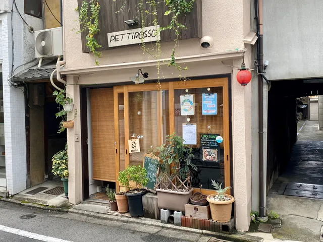Pettirosso Kyoto