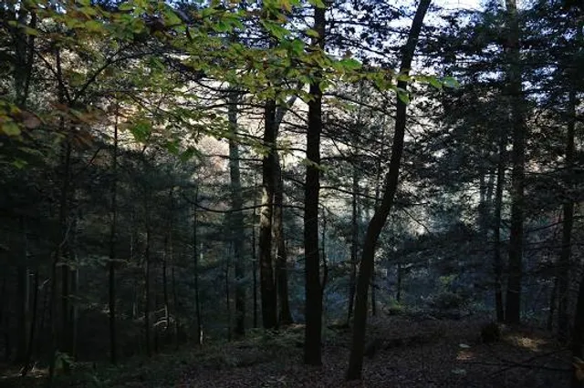 Tar Hollow State Park