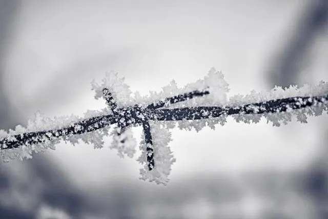 Blythwood Ravine Park