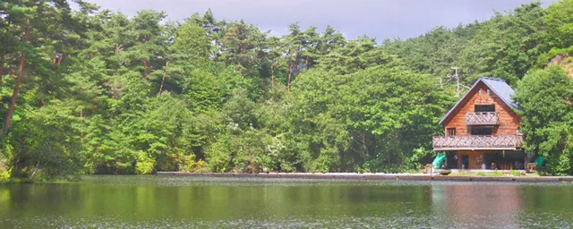 Humming Bird Tsuten Lake