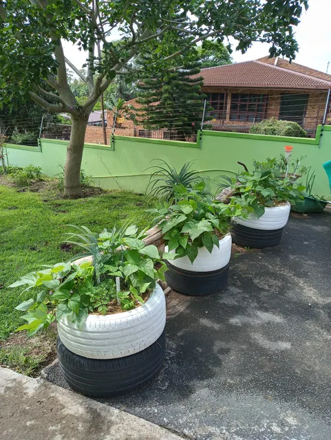 T & T Bed and Breakfast