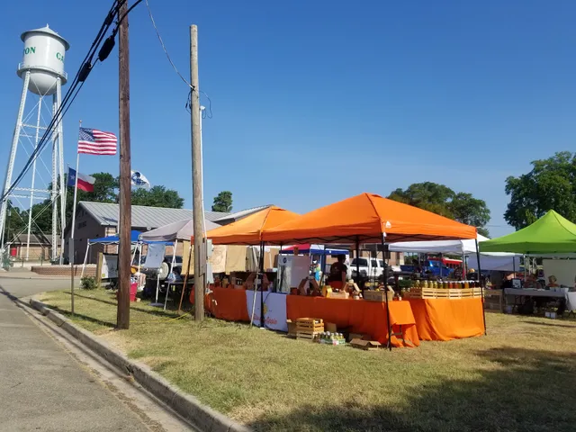 Downtown Canton Farmers Market