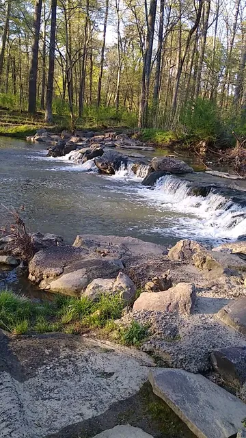 Boyle Park Pavilion 3 Parking